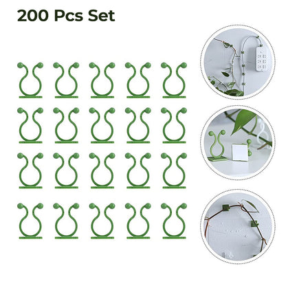 Multiple plant climbing clips supporting a growing vine on a textured wall.