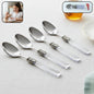 Elegant stainless steel dessert spoon set with transparent handles