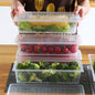 Clear plastic freezer storage container with a removable drain plate, ready for vegetables.