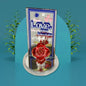 Romantic Rose Showpiece in a clear gift box, ready for gifting.