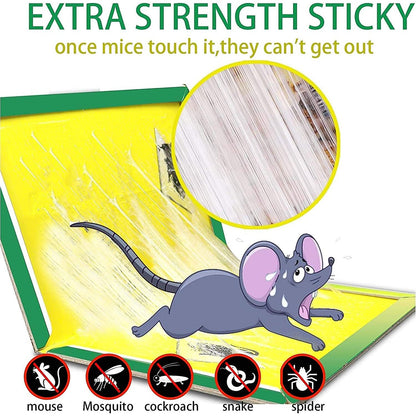 Foldable and reusable cardboard mouse trap with strong adhesive by Indo Glow.