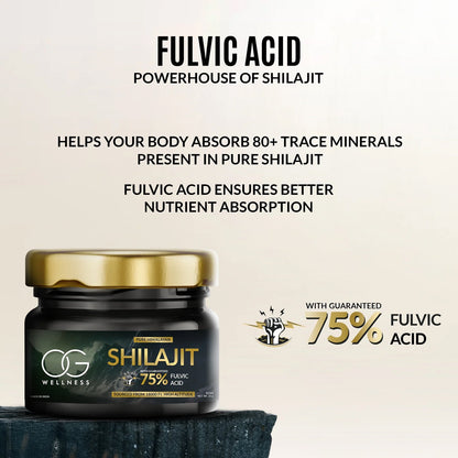 OG Wellness Shilajit resin supporting immunity and mental clarity