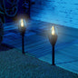 Solar-powered garden pathway light in black with transparent top