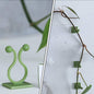 Self-adhesive plant climbing clips blending seamlessly with green foliage on a wall.