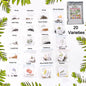 Close-up of vegetable and flower seeds mix from the 20 varieties combo for home gardening.