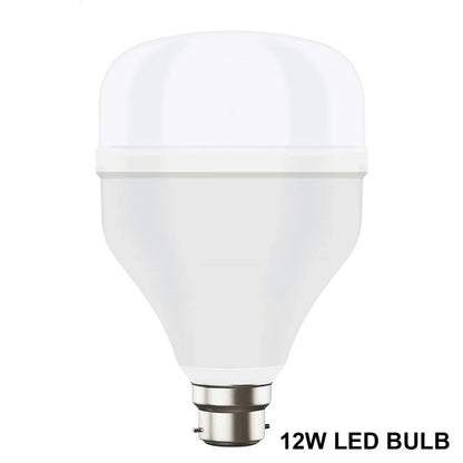Illustration showing the wide application of a 12W LED bulb in various rooms.