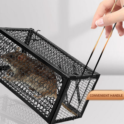 A trapped mouse visible inside the live catch cage, demonstrating humane capture.