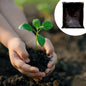 1 KG pack of organic vermicompost black soil manure for healthy garden plants.