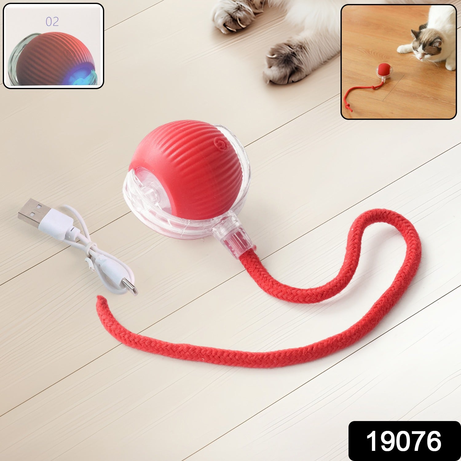 Cat actively chasing the interactive LED light cat toy ball indoors