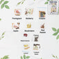 Fruit seeds combo pack sealed in a pouch for home gardening