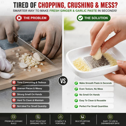 Garlic grater plate white bg