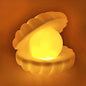 Elegant Pearl Shell Night Lamp glowing softly on a bedside table.