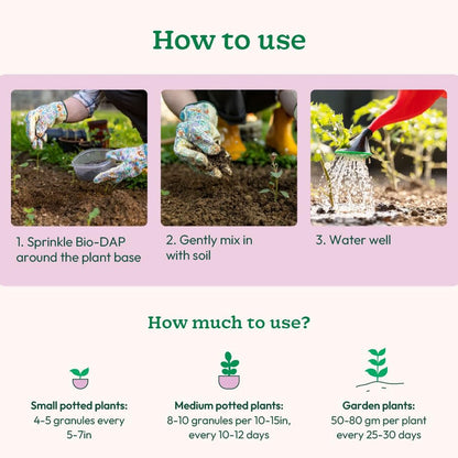 Application of red organic soil fertilizer granules near plant roots