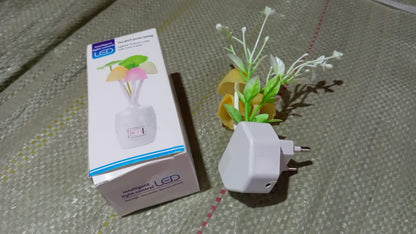 The energy-efficient mushroom night light with its auto on/off sensor in action.